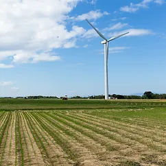 Maintaining the wind farm