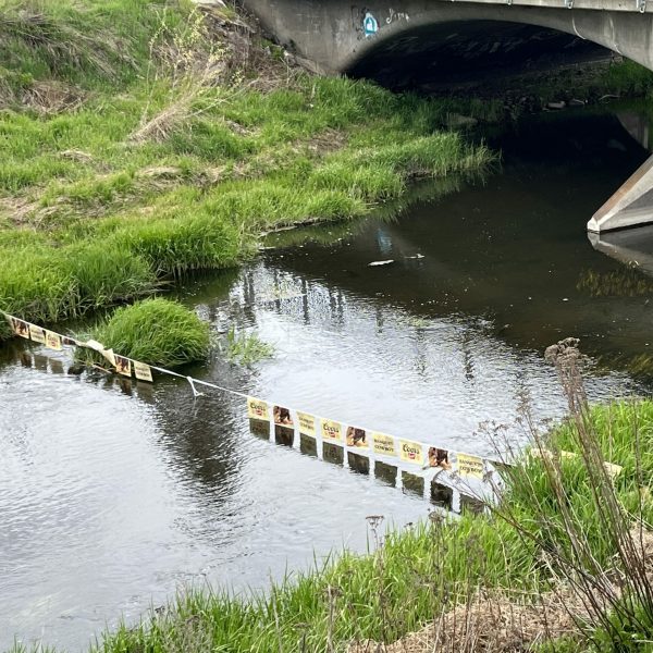 Lions Club Rockford, WA ‘Frog Regatta” Race – Donation 2024