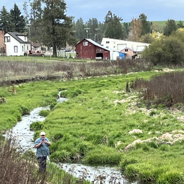 Lions Club Rockford, WA ‘Frog Regatta” Race – Donation 2024