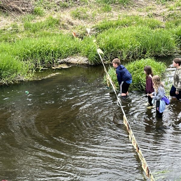 Lions Club Rockford, WA ‘Frog Regatta” Race – Donation 2024