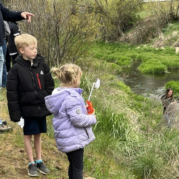 Lions Club Rockford, WA ‘Frog Regatta” Race – Donation 2024