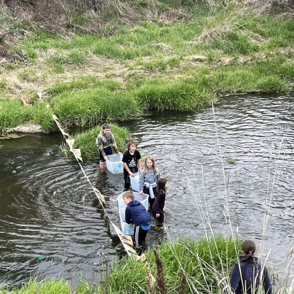 Lions Club Rockford, WA ‘Frog Regatta” Race – Donation 2024