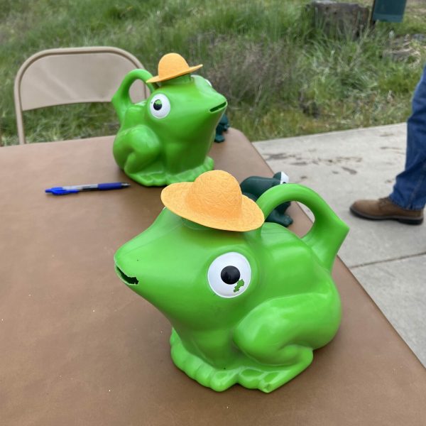 Lions Club Rockford, WA ‘Frog Regatta” Race – Donation 2024