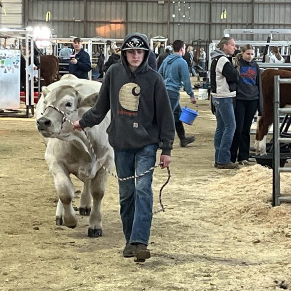 Jr. Livestock Show Spokane 4H – FFA Young adult sponsor, animal purchase 2024