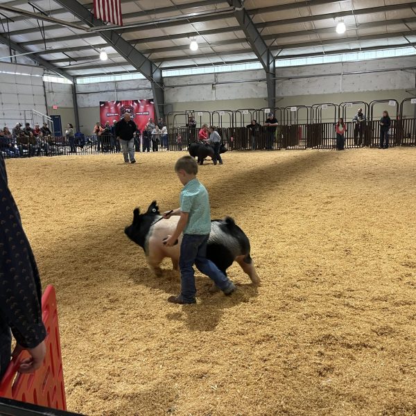 Jr. Livestock Show Spokane 4H – FFA Young adult sponsor, animal purchase 2024