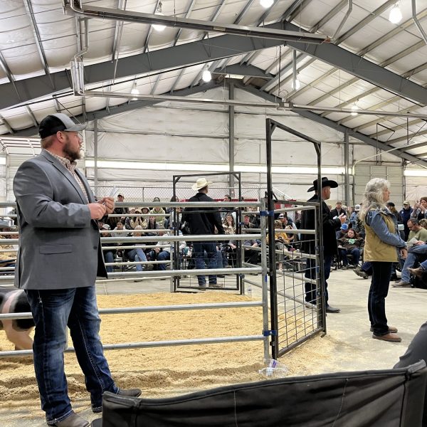 Jr. Livestock Show Spokane 4H – FFA Young adult sponsor, animal purchase 2024