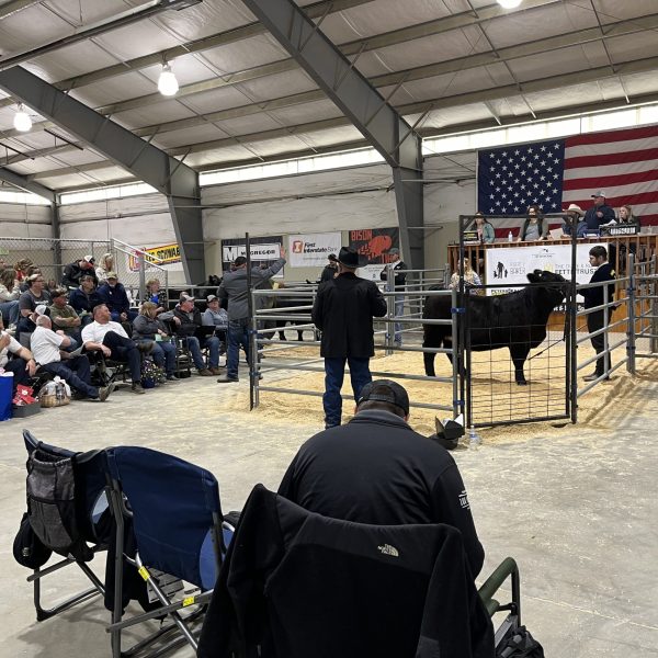 Jr. Livestock Show Spokane 4H – FFA Young adult sponsor, animal purchase 2024