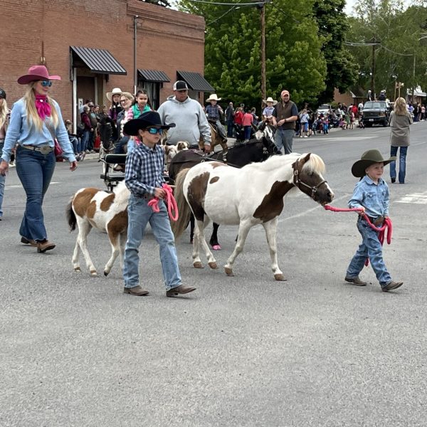 Reardan Mule Day “Gold Sponsor” 2024