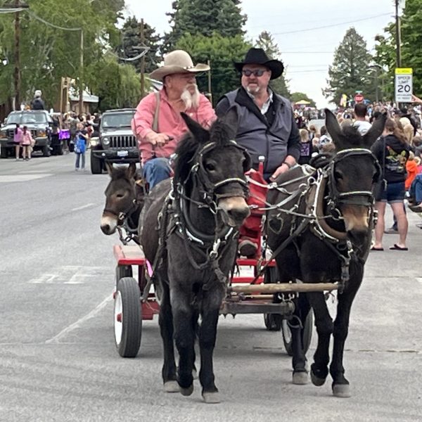 Reardan Mule Day “Gold Sponsor” 2024